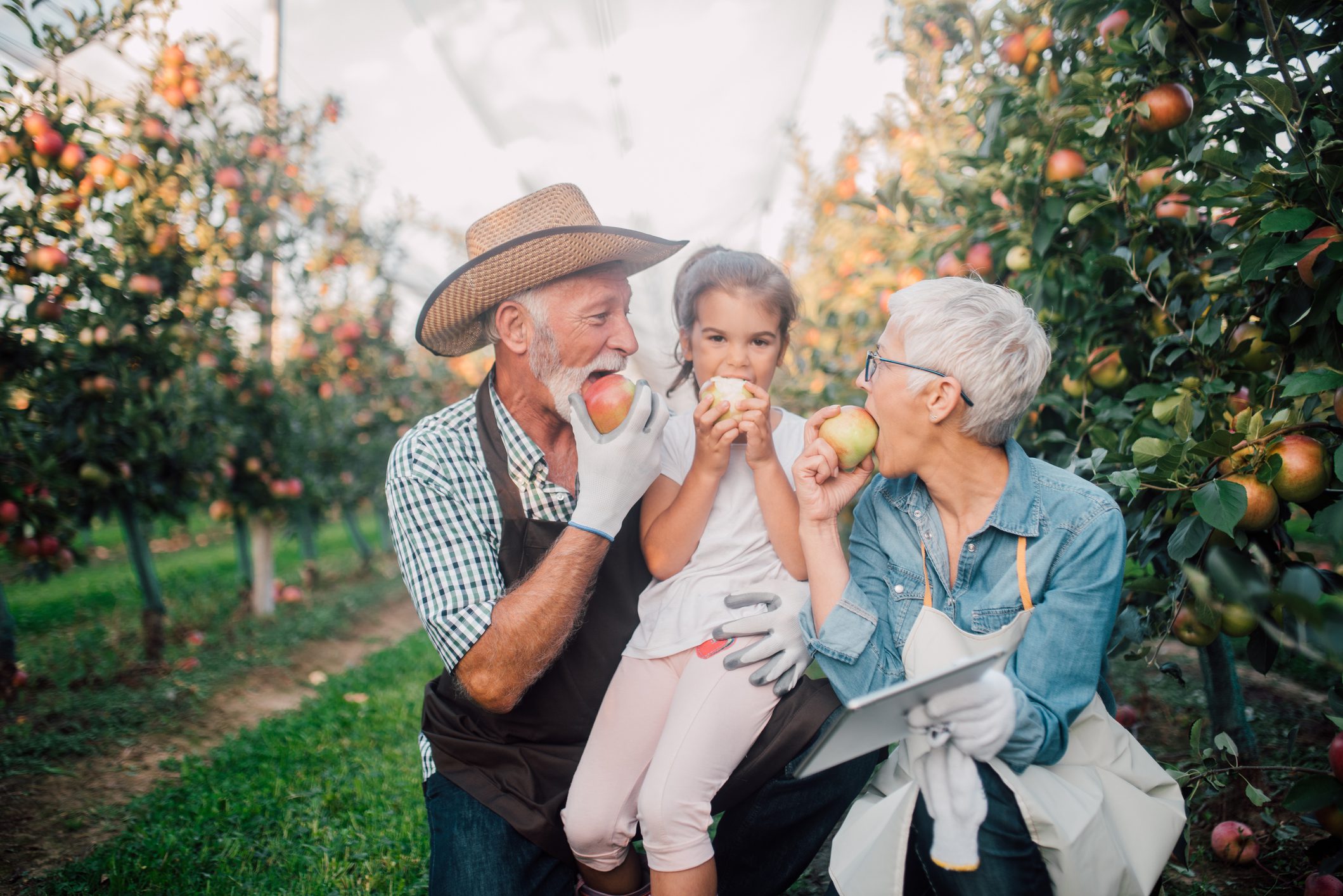 Couple eating apples with their granddaughter